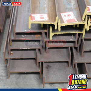 WF 350 GG Mtr