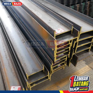 WF 900 Import 12 m