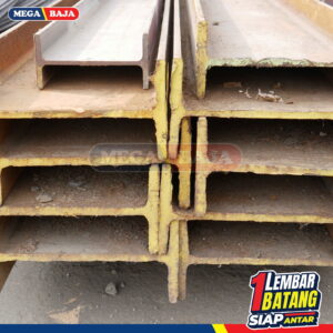 Wide Flang 248 X 12 Mtr LS